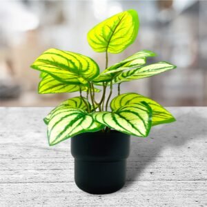 Artificial Caladium Plant