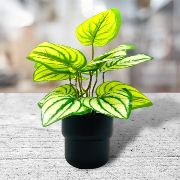 Artificial Caladium Plant