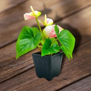Vibrant Red Anthurium Artificial Plant