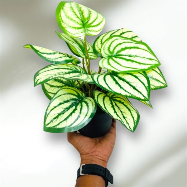 Artificial Caladium Plant with Realistic Green Leaves in Black Pot - Image 8