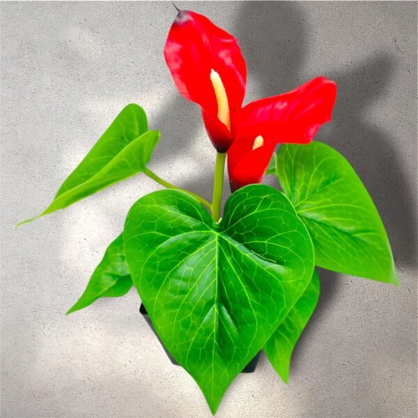 Vibrant Red Anthurium Artificial Plant in Black Pot - Image 7