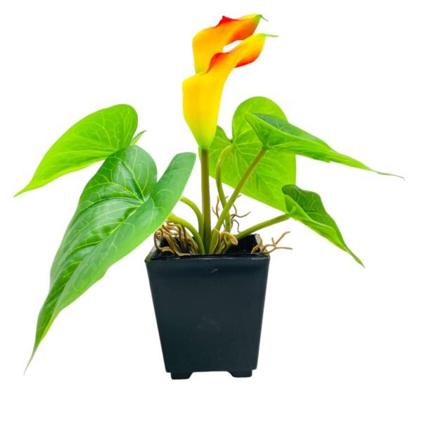 Faux Yellow Calla Lily Plant in Black Pot - Image 2