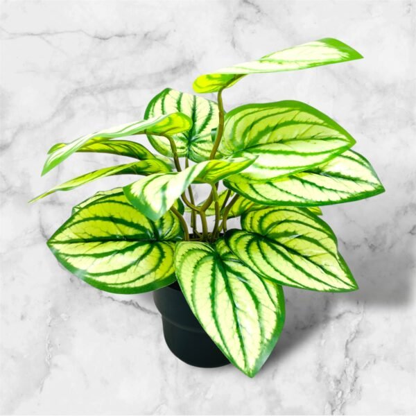 Artificial Caladium Plant with Realistic Green Leaves in Black Pot - Image 7