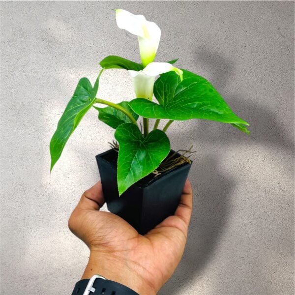 Faux White Calla Lily Plant in Black Pot - Image 3