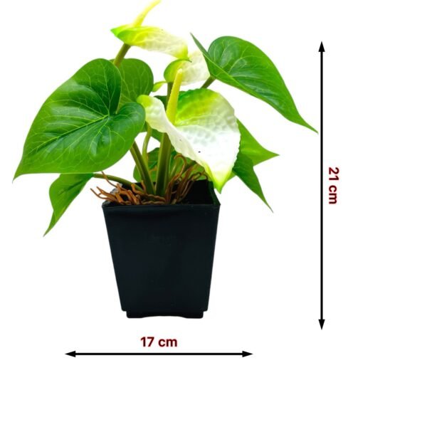 Faux Anthurium Plant in Black Pot - Image 2