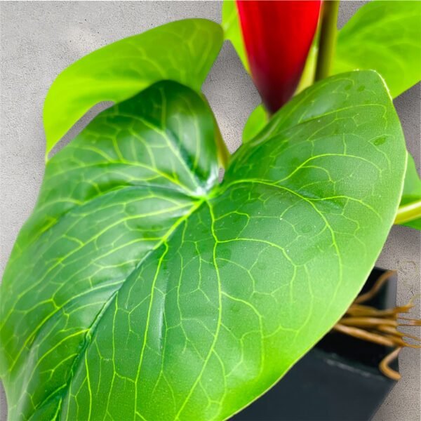 Vibrant Red Anthurium Artificial Plant in Black Pot - Image 5
