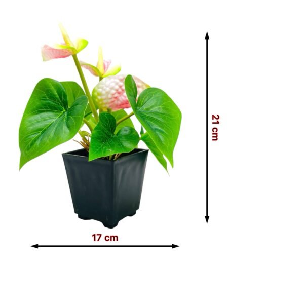 Vibrant Red Anthurium Artificial Plant in Black Pot - Image 4