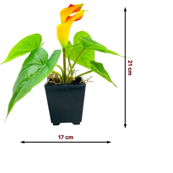Faux Yellow Calla Lily Plant in Black Pot - Image 3