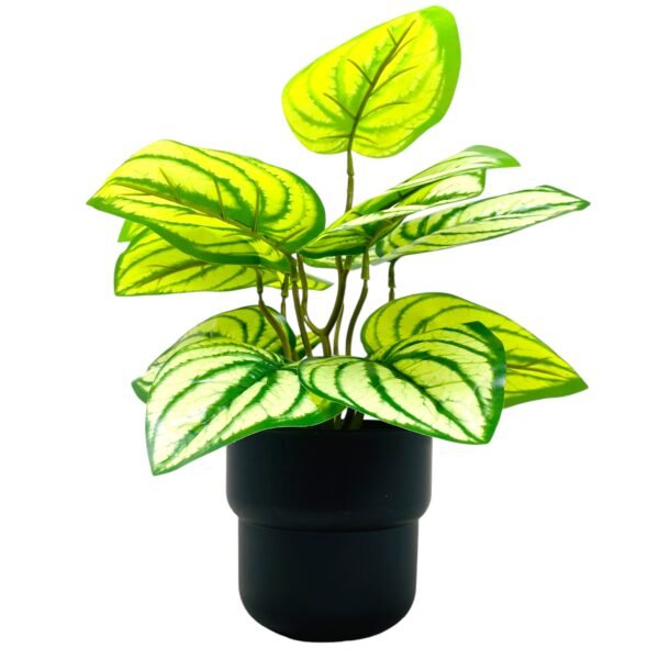 Artificial Caladium Plant with Realistic Green Leaves in Black Pot - Image 5