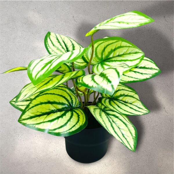 Artificial Caladium Plant with Realistic Green Leaves in Black Pot - Image 3