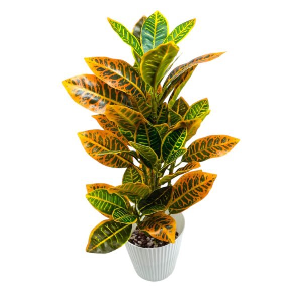 Tall Artificial Croton Plant in White Pot - Image 3