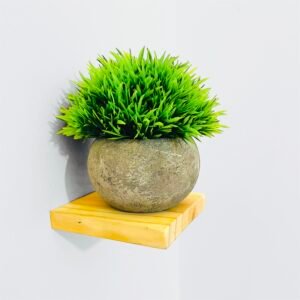 Faux Boxwood Plant