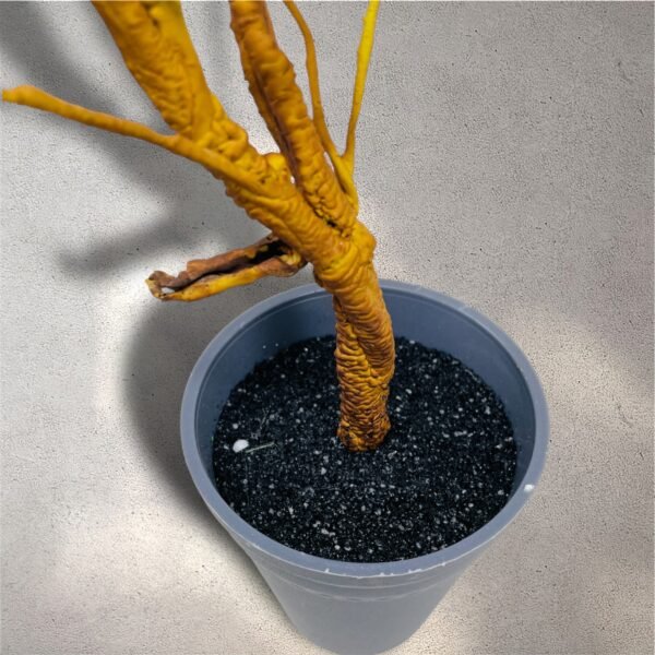 Artificial Spring Branch Plant in Grey Pot - Image 4