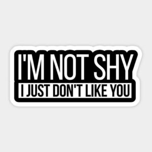 I'm Not Shy I Just Don't Like You Aesthetic Vinyl Sticker