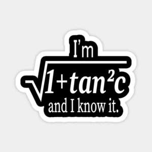I'm Secant and I Know It Math Pun Vinyl Sticker